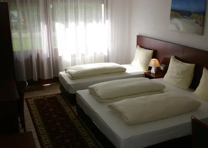 Apartment Traube